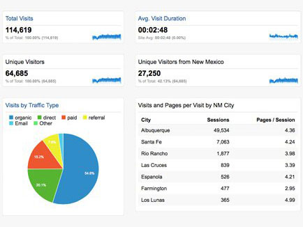 Do You Know Who Visits Your Website?